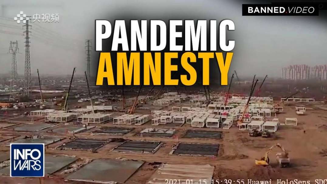 Pandemic Amnesty- Globalist Battleplan to Enslave Humanity Through Covid Camps Exposed