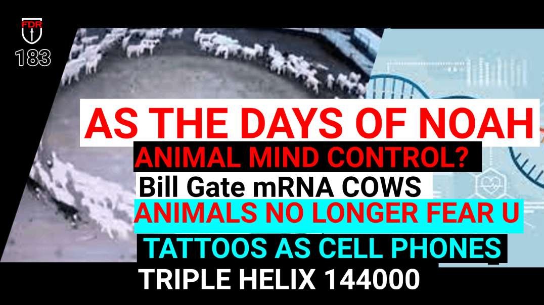 Animals Acting Mind Controlled.    Are we in the End of Days?