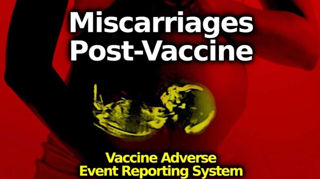 timtruth VAERS Miscarriages & Stillbirths After C19 Shots Vaccine Adverse Event Reporting System.mp4