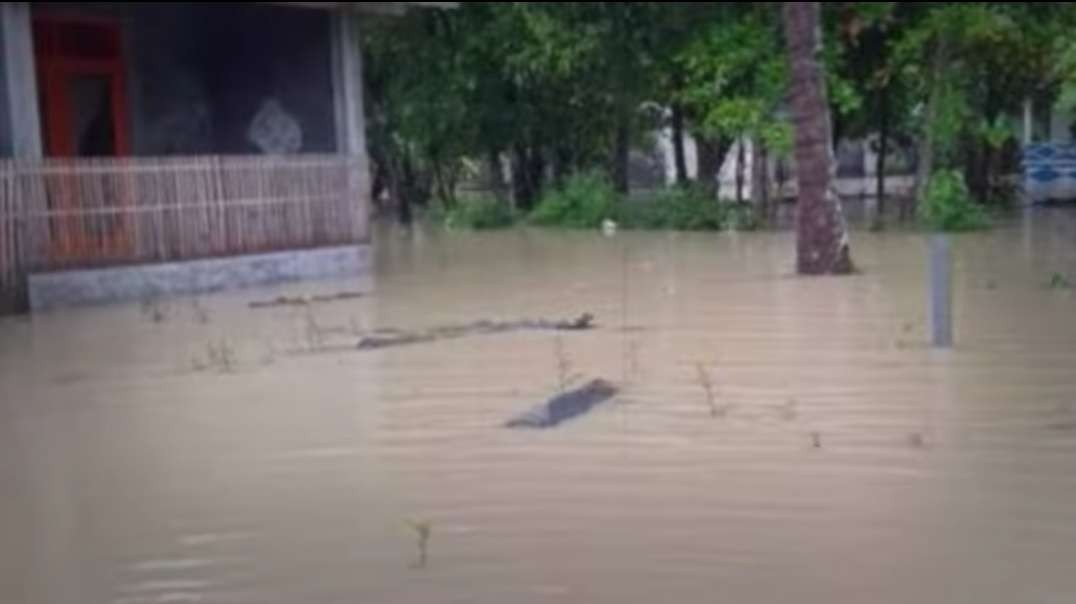 Banjir Ponorogo Hari ini 10 Nov 2022, Semua Ludes!! Banjir Ponorogo Jawa Timur.mp4