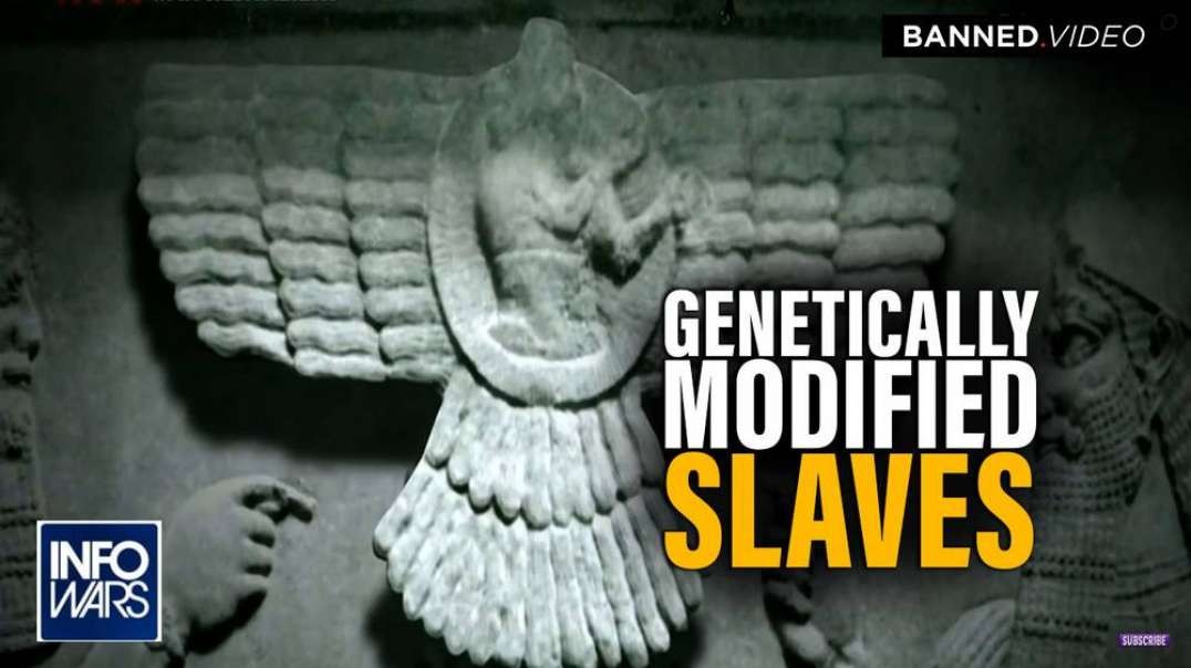 Genetically Modified Slaves The Past and Future of Humanity with Dr. Lee Merritt
