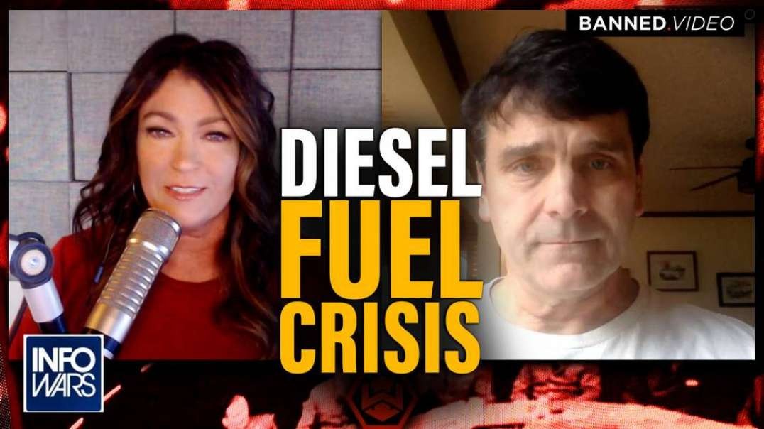 The Diesel Fuel Crisis Will Affect the Entire Supply Chain by Thanksgiving, says Auto Industry Insider
