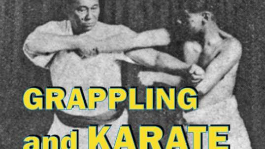 Grappling and Karate.mp4