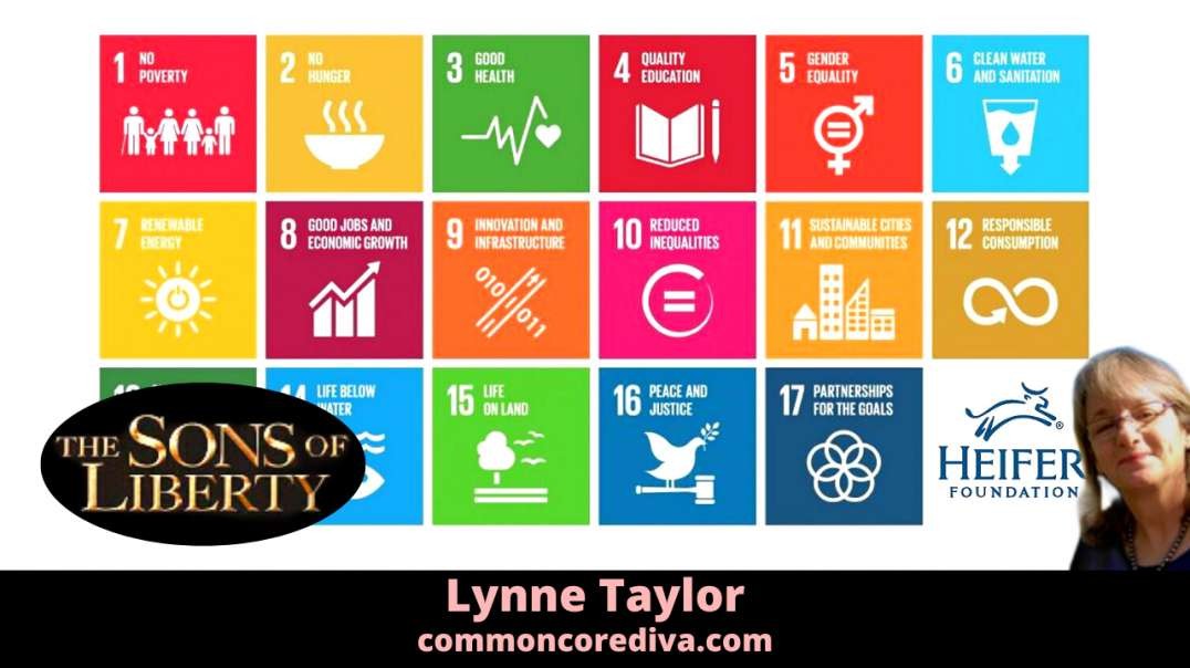 "Charity" Meets UN's Sustainable Development Goals - Guest: Lynne Taylor