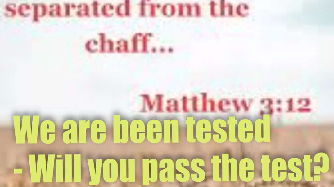 We are been tested – Will you pass the test? – Maria Benardis
