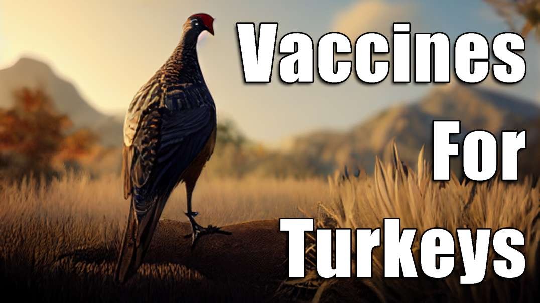 Vaccines for Turkeys: Pharma's Insatiable Appetite