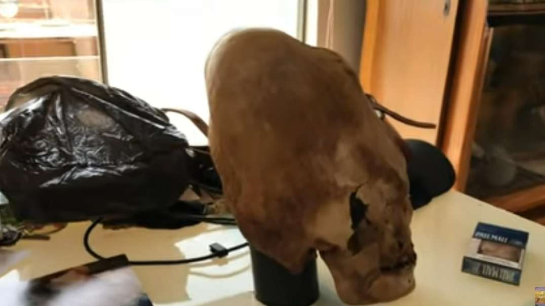 FINALLY DNA Results Of The Paracas Elongated Skulls Of Peru Part 1