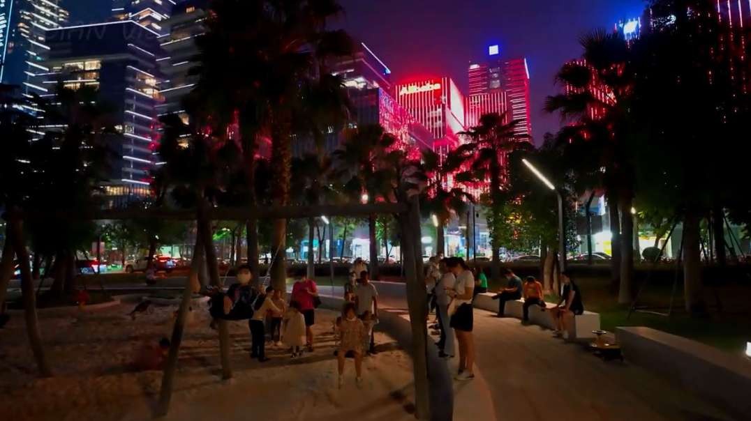 Shenzhen China Nov 2022 Night Walk 深圳湾体育中心～万象城～人才公园 散歩 ASIAN View.mp4