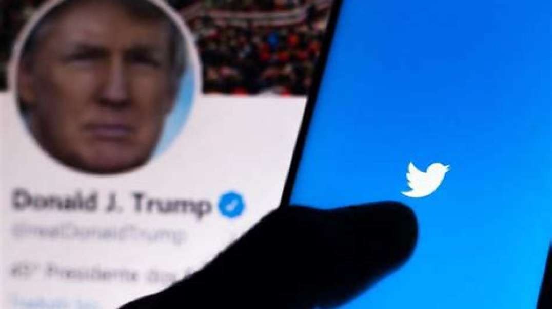 Twitter Files Part 3 Trump Removal, Credit Cards Restrict Gun Buys, Blackrock CEO Asked To Resign