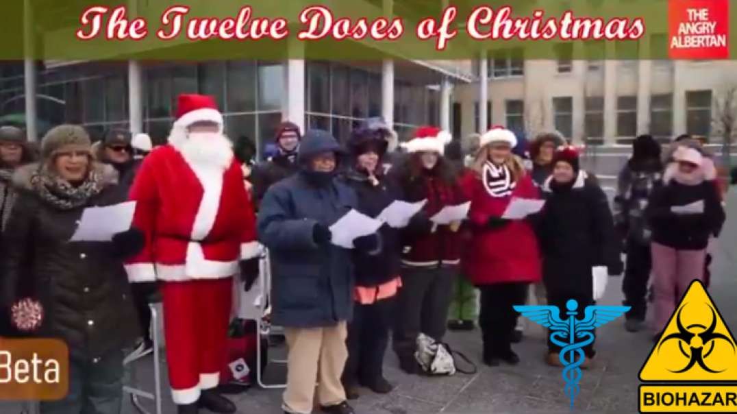 THE 12 DOSES OF CHRISTMAS A GREAT HOLIDAY SONG FOR THE CL*T SH*T FOLKS