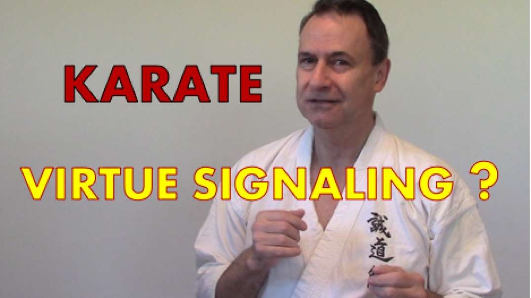 Karate Virtue Signaling?.mp4