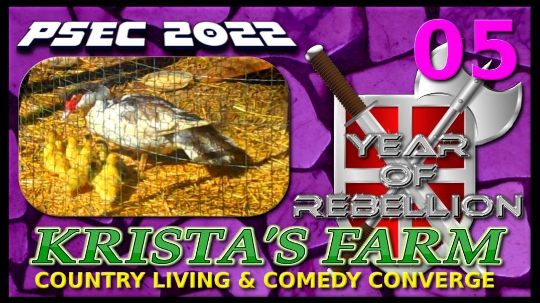 PSEC - 2022 - PSEC ON TOUR | CH03 - Krista's Farm | SEC 05 - Ducks & Green Pastures | 432hz [hd 480p]