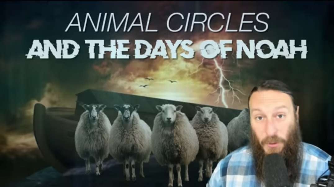Solved Animal Circles And The Days Of Noah End Times Warning Mp4 Solved Animal Circles And The Days Of Noah End Times Warning Mp4