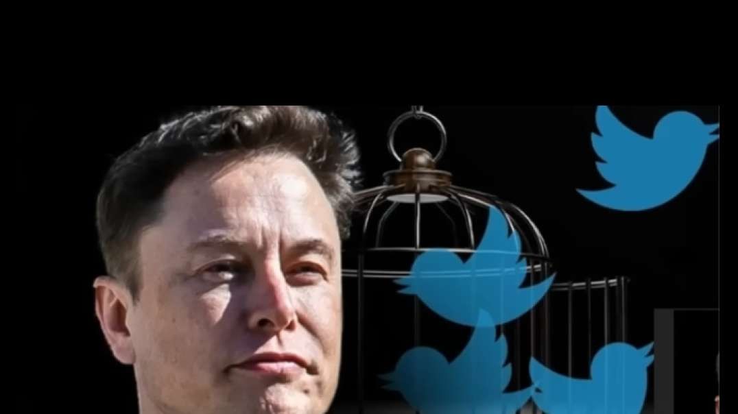 Elon Musk Releasing 'Episode 2 of Twitter Files' Today, Exposing Shadowbanning, .mp4