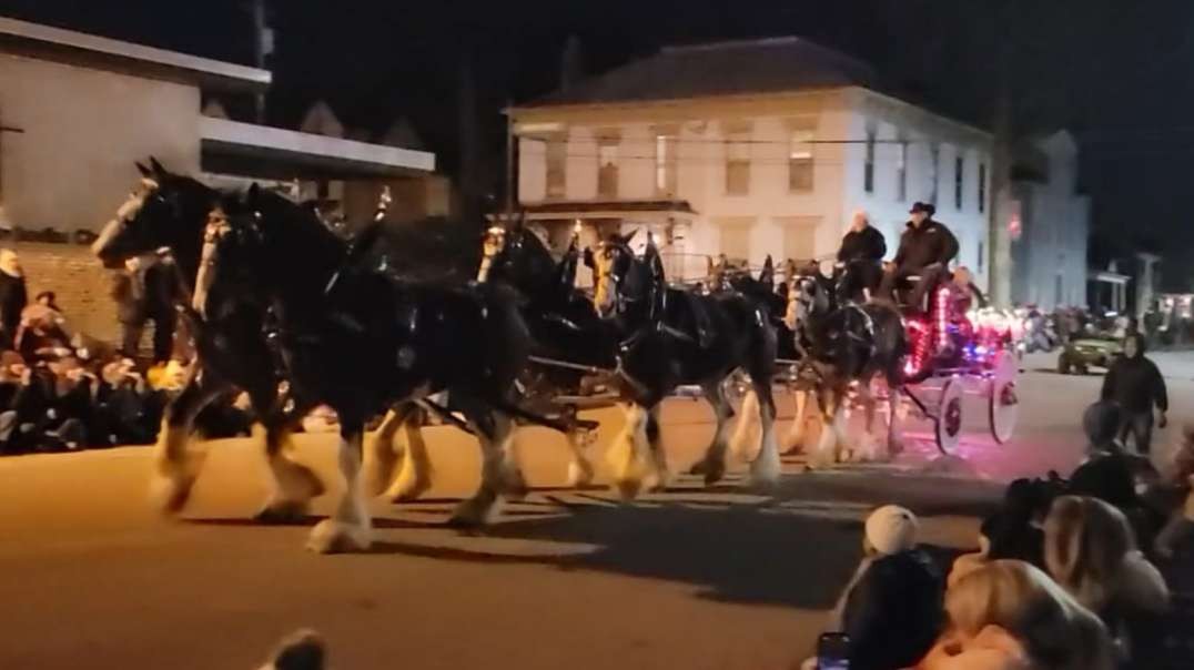Lebanon, OH Christmas Horse And Carriage Parade