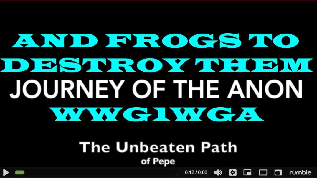 An Anon's journey, path of the Pepe connects you to the Universe!