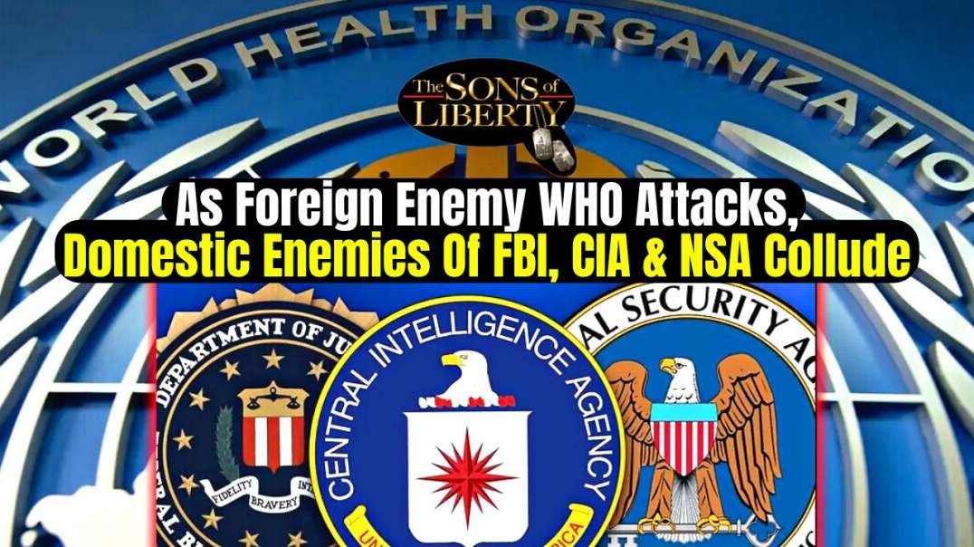 as-foreign-enemy-who-attacks-domestic-enemies-of-fbi-cia-nsa-collude