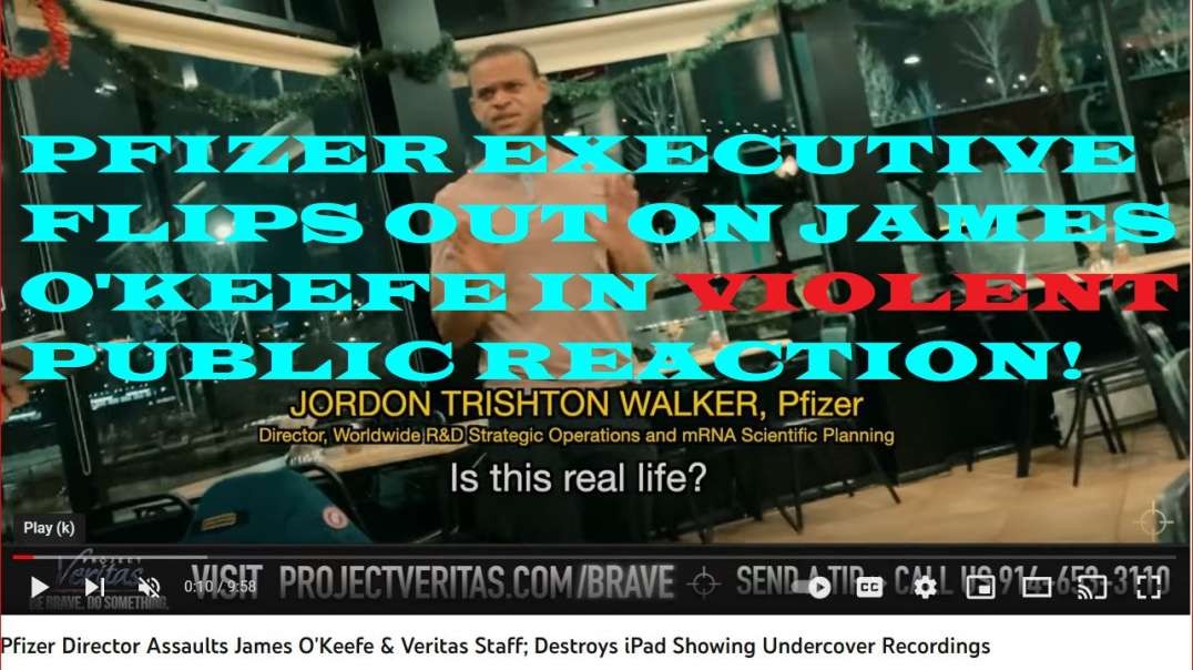 Pfizer executive flips out on James O'Keefe in violent public reaction!