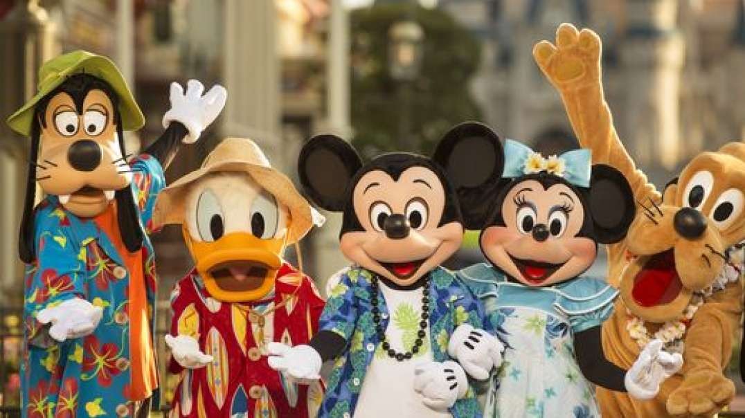 Auschwitz Disney World, Jan 17, 2023