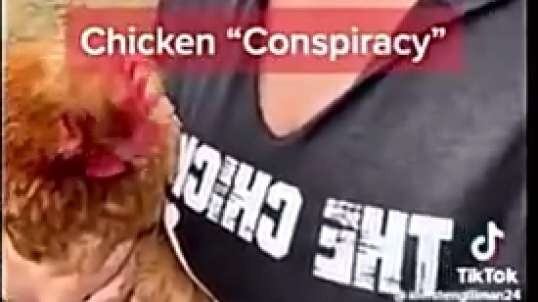 Chicken (egg) Conspiracy