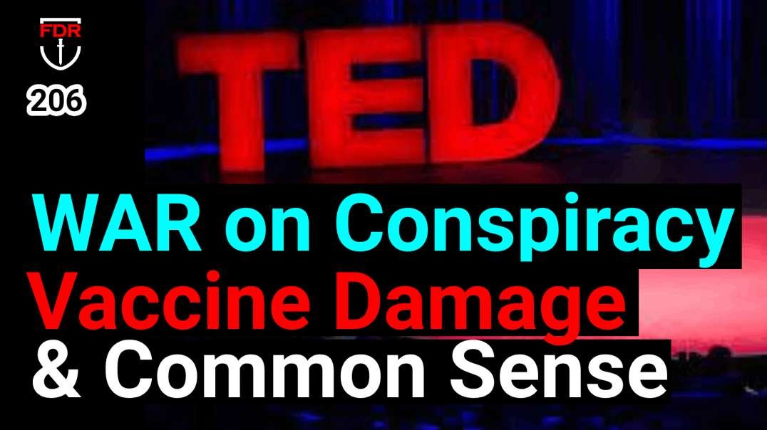 Ted Talk Vilifying Conspiracy / Truthers