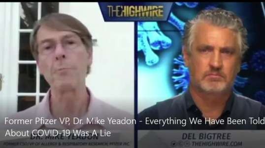 FORMER PFIZER VP, DR. MIKE YEADON - EVERYTHING WE HAVE BEEN TOLD ABOUT COVID-19 WAS A LIE