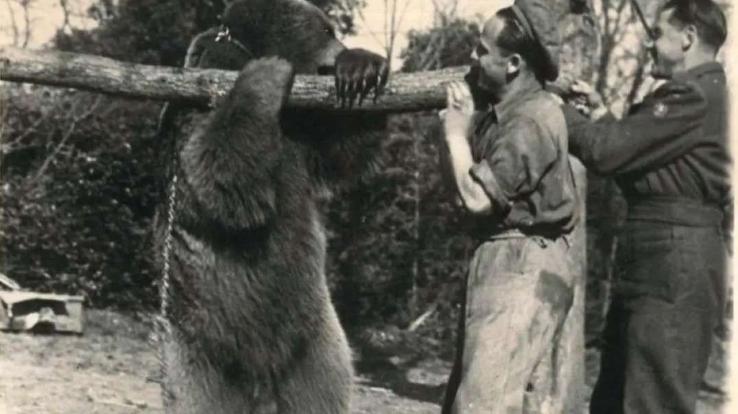 Outside Flagstaff Arizona Publishing House Owner's Report Surviving In The Wild