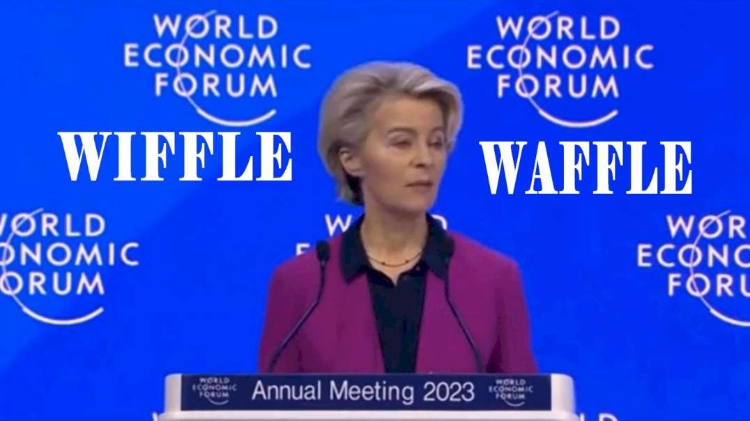 Ursula Wiffle Waffle World Economic Forum BORES.mp4