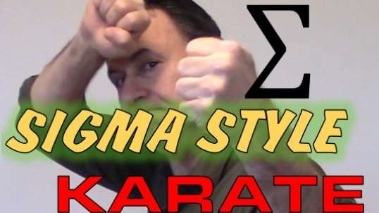 Sigma Style Karate.mp4