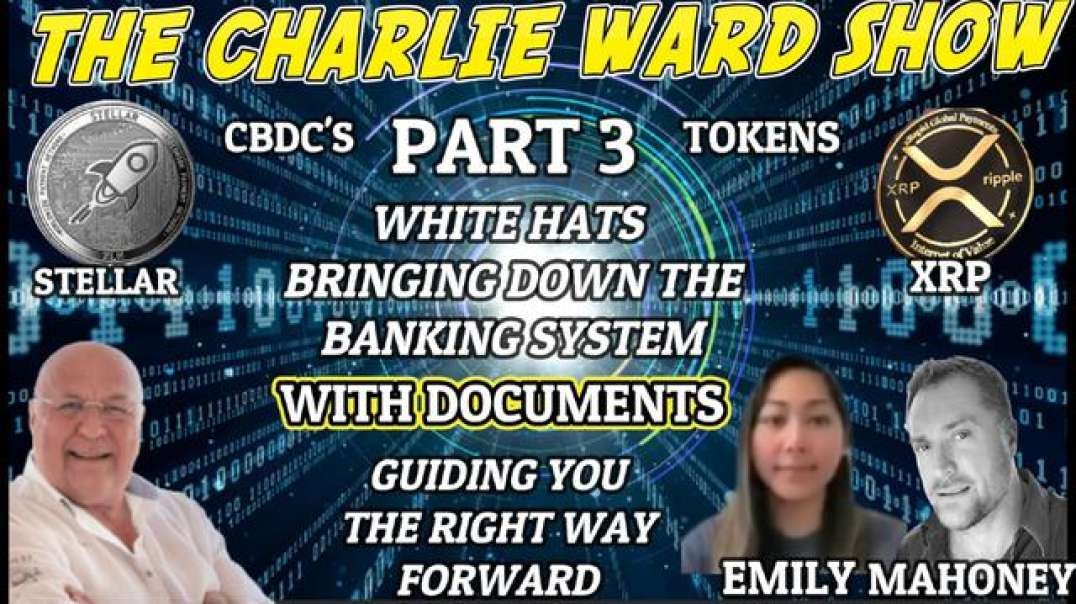 PART 3 -WITH DOCUMENTS,THE WHITE HATS BRINGING DOWN THE BANKING SYSTEM WITH EMILY, MAHONEY & CHARLIE