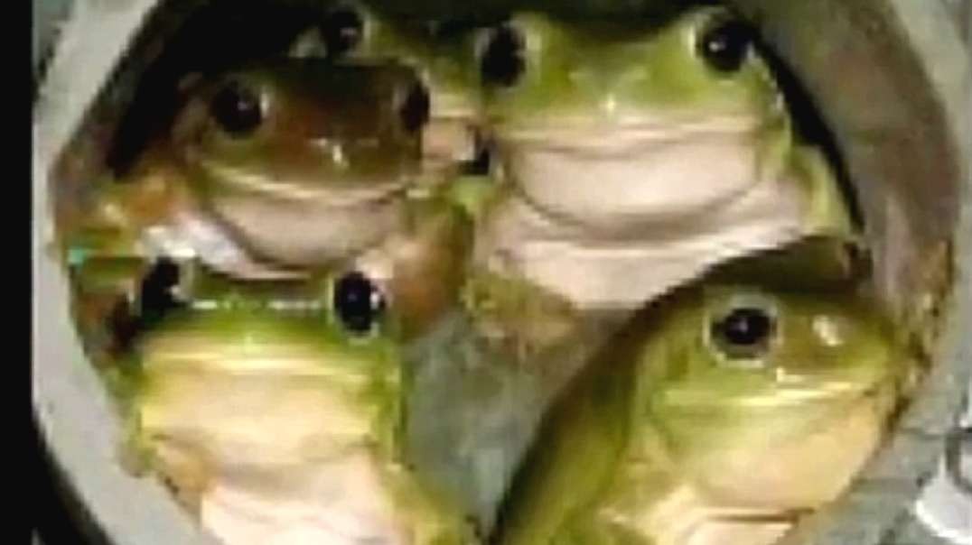 GRID-X-PROJECT.mp4