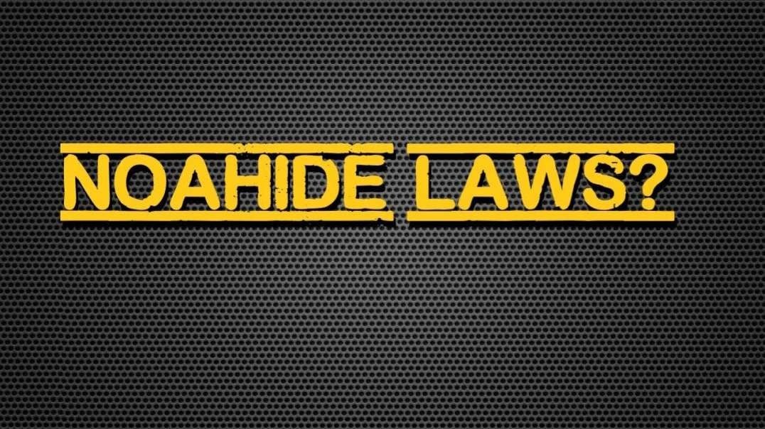 Is American Law The Law Of The Land Or The Noahide Laws? - Guest: Lynne Taylor