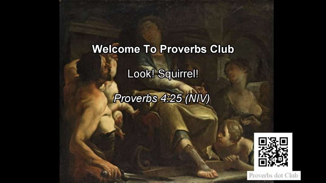 Look! Squirrel! - Proverbs 4:25