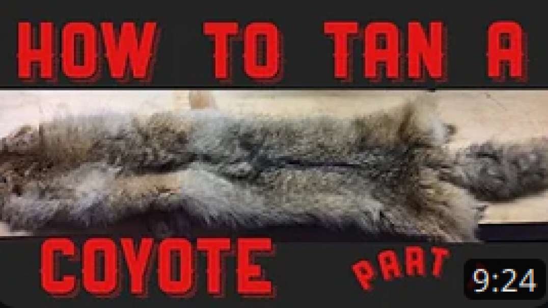 Is Home Tanning Any Good? COYOTE FUR HAT Tests 7 YEARS LATER