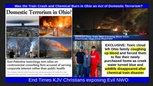 Was the Train Crash and Chemical Burn in Ohio an Act of Domestic Terrorism