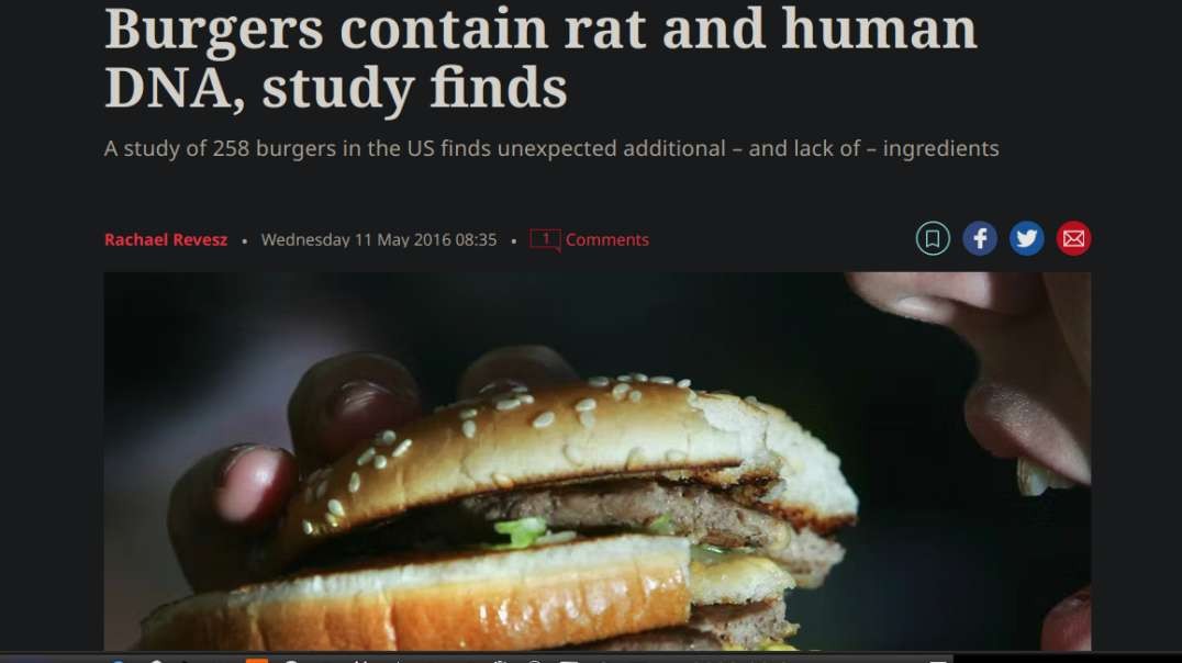 Study Finds Hamburger Meat Contains Rat n Human DNA