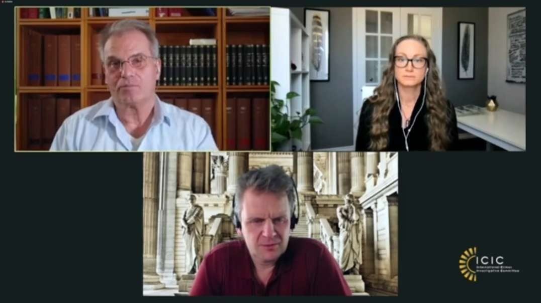 Meredith Miller, Prof. Dr. Martin Schwab, and Reiner Fuellmich - The Media is the Virus - International Crimes Investigative Committee