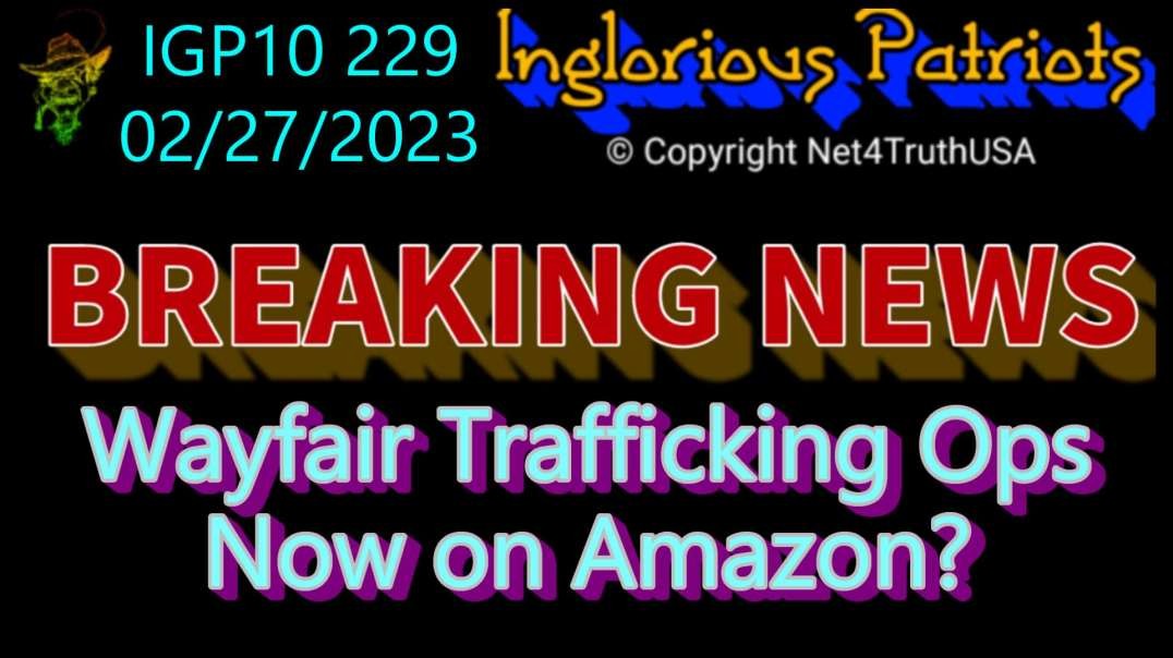 IGP10 229 - Wayfair Trafficking Ops now on Amazon.mp4