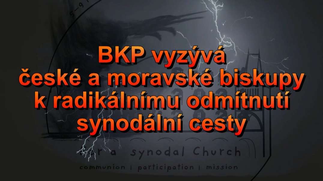 BKP vyzývá české a moravské biskupy k radikálnímu odmítnutí synodální cesty