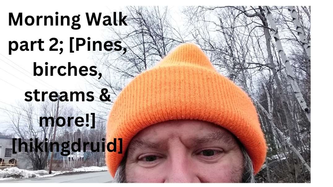 Morning Walk part 2; [Pines, birches, streams & more!] [hikingdruid]