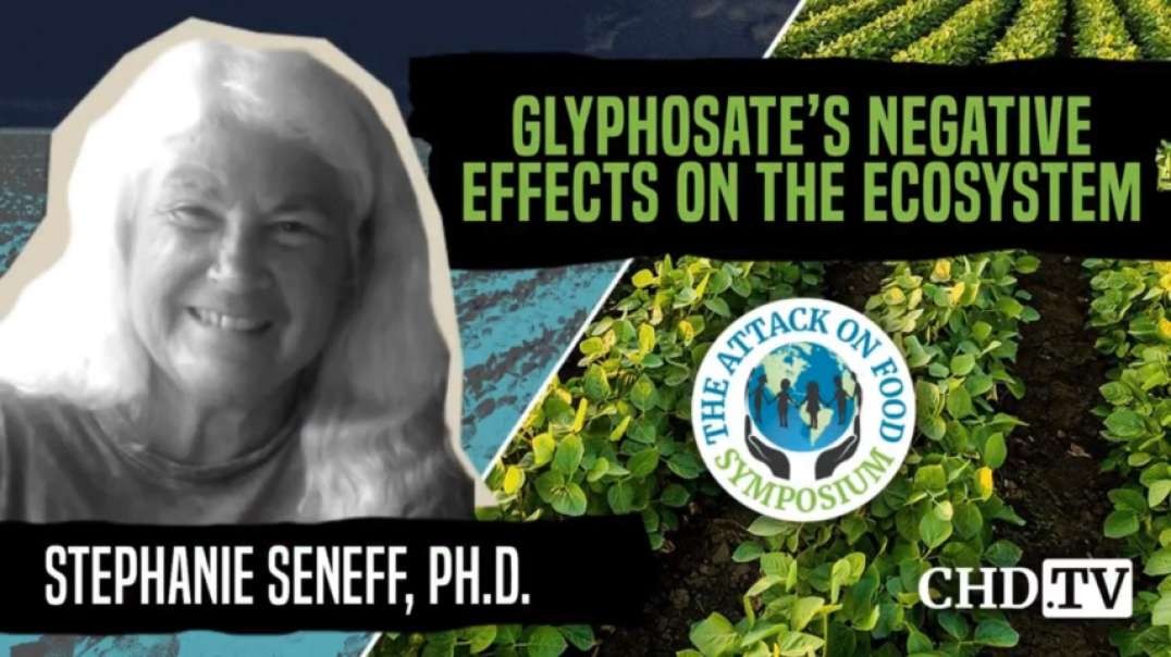 Glyphosate's Negative Effects on the Ecosystem - Stephanie Seneff Ph.D