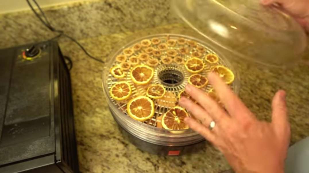 The Ultimate Food Dehydrator Guide.mp4