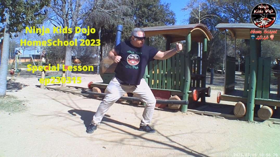Ninja Kids Dojo Homeschool 2023 - Special Lesson - ep032315