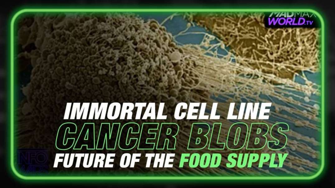 Cancer Blobs- Immortal Cell Lines are the Future of the Food Supply