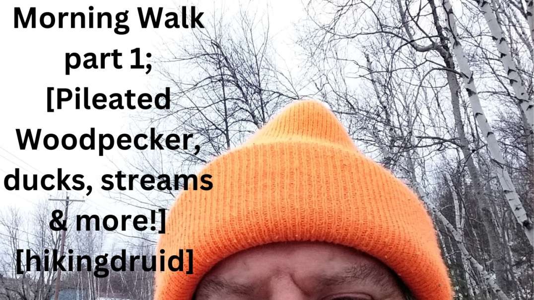 Morning Walk part 1; [Pileated Woodpecker, ducks, streams & more!] [hikingdruid]
