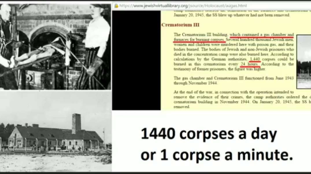 Crematory Nonsense, Mar 8, 2023