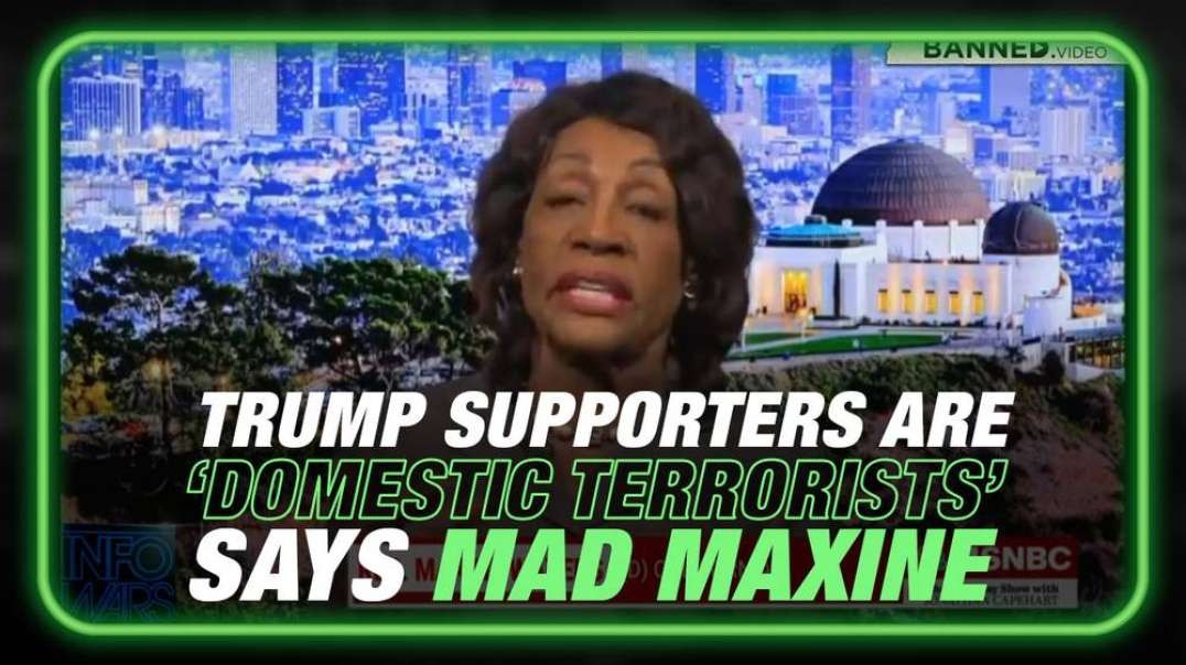 Constuitutional Crisis- Maxine Waters Declares All Trump Supporters 'Domestic Terrorists'