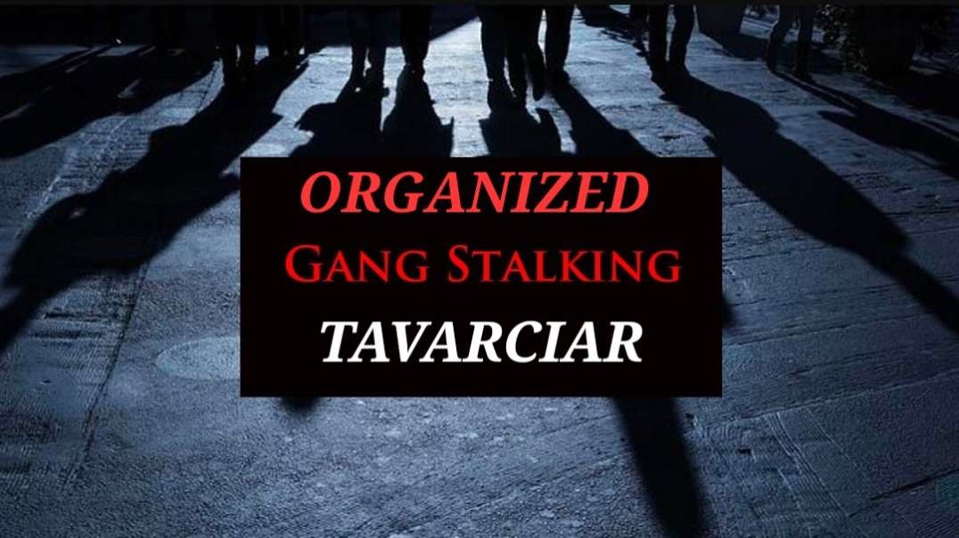 Organized Stalking: The Works