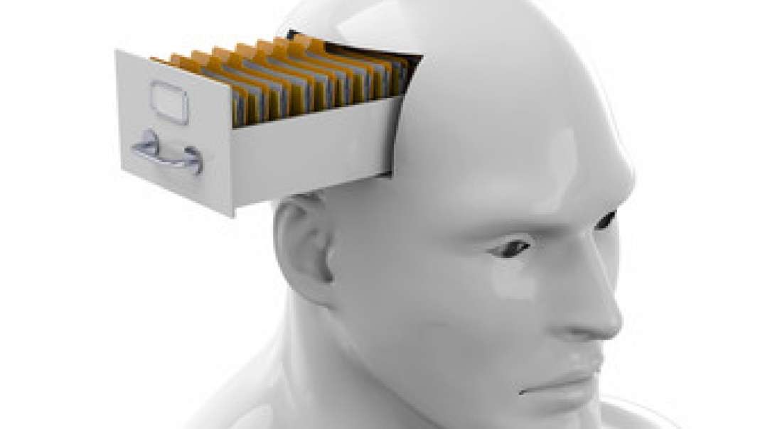 Maintain A Steel Trap Brain and Memory