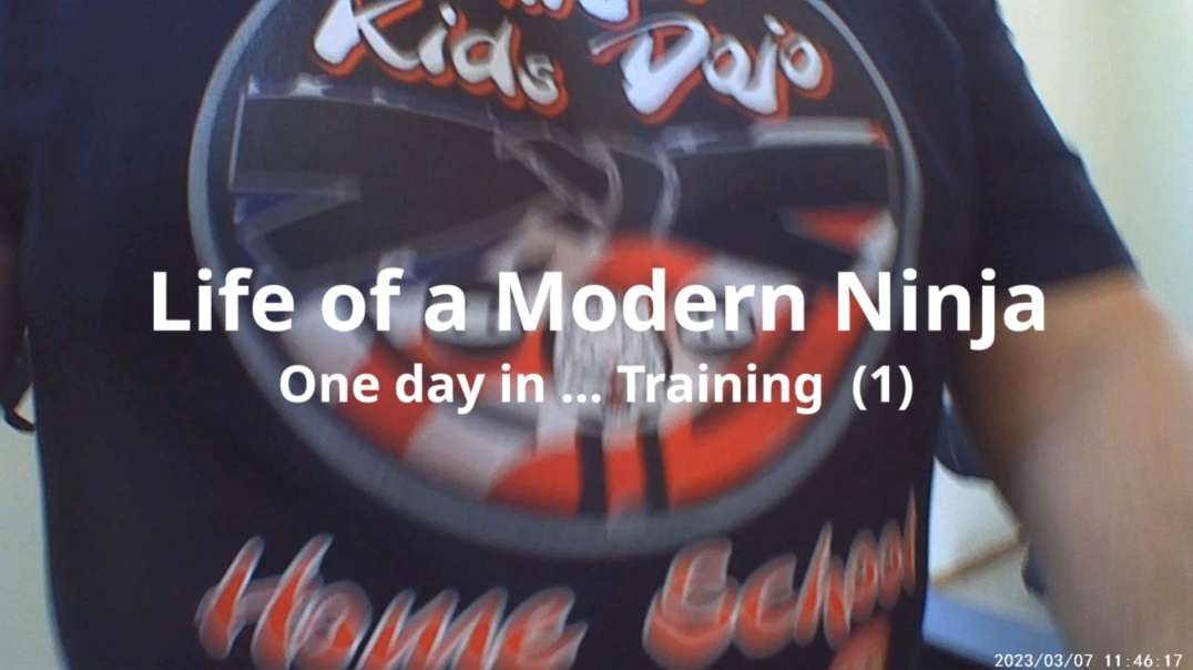 Life of a Modern Ninja - fantasy and reality intersect - Training 1